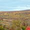 DSC04647 Foliage near I70 - NE view