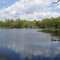 Carver Pond