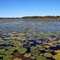 Mill Pond, West Bridgewater, MA, USA