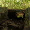 black brook