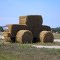 Hay Mobile---st
