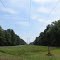 Power Lines