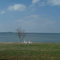 St Michaels, MD