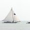 Skipjack