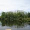 Analisa Pond