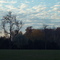 Irish Road Dundee Michigan facing South