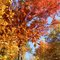 Van Buren Township, MI, US