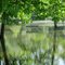 A bench in water during the flood overflow in Lower Huron Metropark