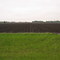 Rich Minnesota farmland