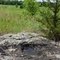 3.6 Billion Year Old Gneiss Outcrop