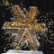 2009 Winter Carnival Snowflake Ice Carving