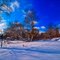 Postcard from Minnesota