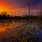 Sunset in the Bayou