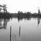 Bear Head Lake State Park, Site Dock