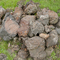 Saugus Iron Works - Bog Iron