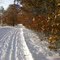 Sunfish Lake Park- Ski trails