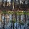 Oakdale Park pond