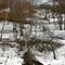 Rotting log uncovered by March snow melt