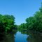 Southwood Nature Preserve