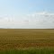 Fields of Ada