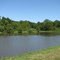 Honker Pond - James A. Reed W.A.