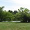 Lake Nell - James A. Reed W.A.