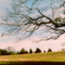 Campbell Land