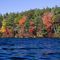 Asnacomet Pond, Autumn
