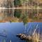 Otter Pond,  Wachusett Meadow Wildlife Santuary