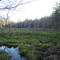 Wachusett Meadow Wildlife Sanctuary