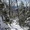 Upper reaches of the Mountain House Trail, winter
