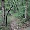 trail after crossing creek, Big Sugar Cr State Park (MO)