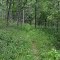 trail, Big Sugar Cr State Park (MO)