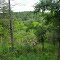 View from connector trail east, Big Sugar Cr State Park (MO)