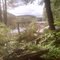 At The Lake