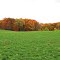 Pastoral Vista, Saline Waterworks Road, Freedom Township, Michigan