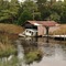 Alligator Creek