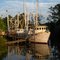 Shrimp Boat