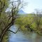 Dan River