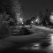Frozen street
