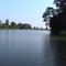 The River View