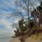 Potomac River Shore, Pope's Creek, Washington's Birth Place - Westmoreland County, VA