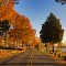 Late Autumn Colors at Sunset along Monroe Bay, Colonial Beach, VA