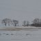 Photo taken in Speedwell, ND, USA