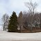 Trees planted in line  years ago.