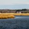 Cohansey River Upstream