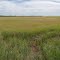 Turkey Point Panorama 5