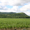Middleburgh, NY