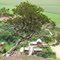 Vromans Nose Gnarled Cedar & Farmstead