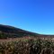 Middleburgh